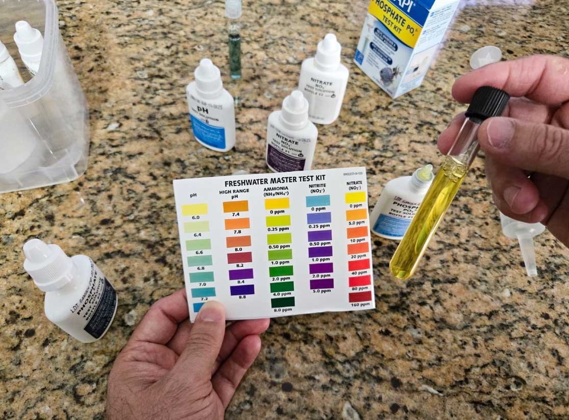 Aquarium Water Parameters