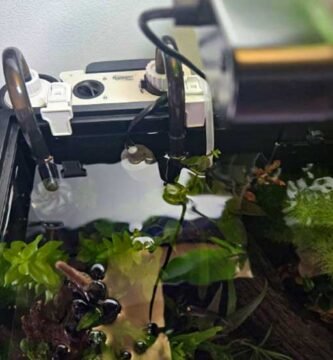 HOB aquarium filter