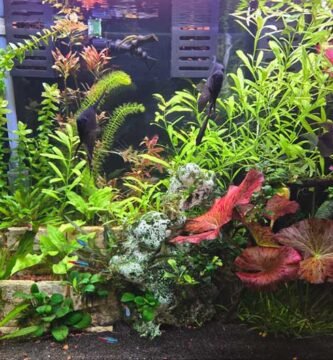 fluval 407 canister filter