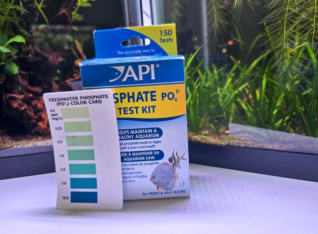Aquarium Water Parameters | The Key to a Healthy Tank - Bioload And Aquarium Water Parameter Fluctuations