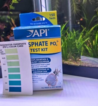 Phosphate in Aquarium