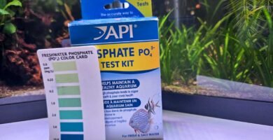 Phosphate in Aquarium