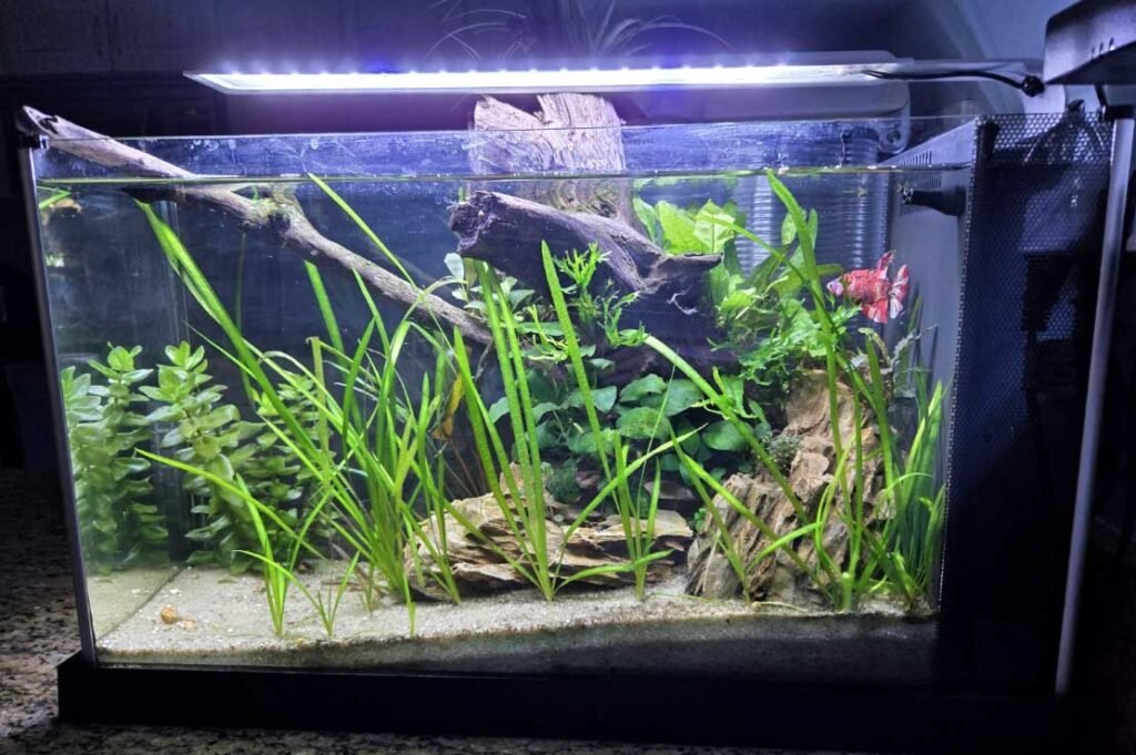 Spec Aquarium Kit