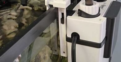 Best filters aquarium